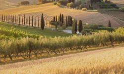 Featured image of post An Interesting Trip to Italian Countryside
